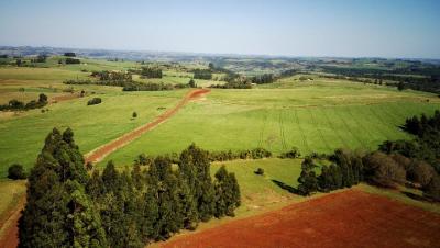 Assentamentos do Rio Bonito do IguaÃ§u comemoram 27 anos nesta segunda (14)